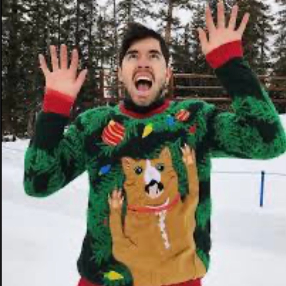 Festive Scared Cat Cozy Warm Ugly Christmas Sweater-Good Quality